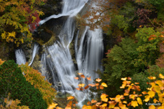 12-DSC_0266
