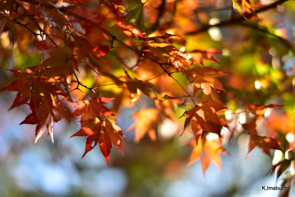 16-DSC_0927