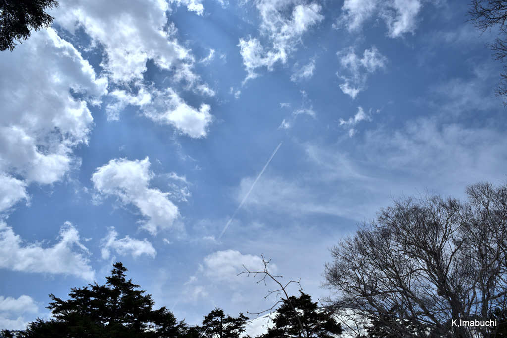 17-DSC_5237