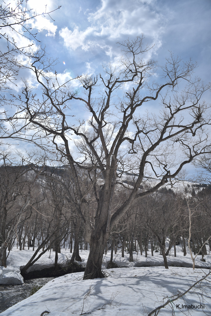 25-DSC_5268