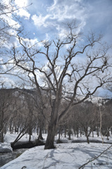 25-DSC_5268