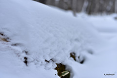 31-DSC_1188