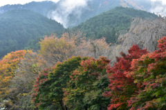 15-DSC_0753