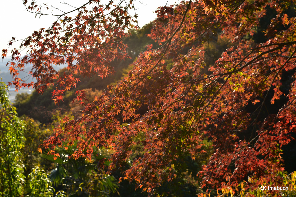 23-DSC_0938