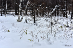 21-DSC_1165