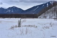 22-DSC_1168