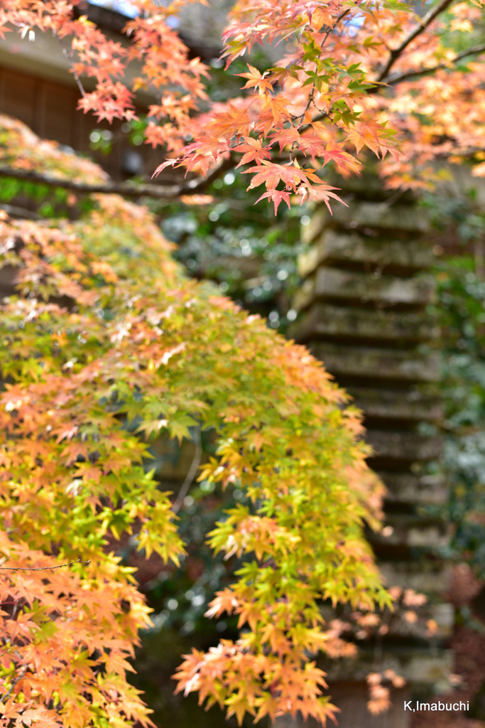 07-DSC_0793