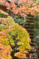 07-DSC_0793