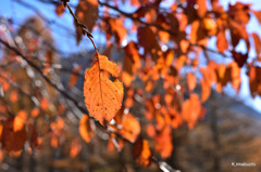 03-DSC_9853