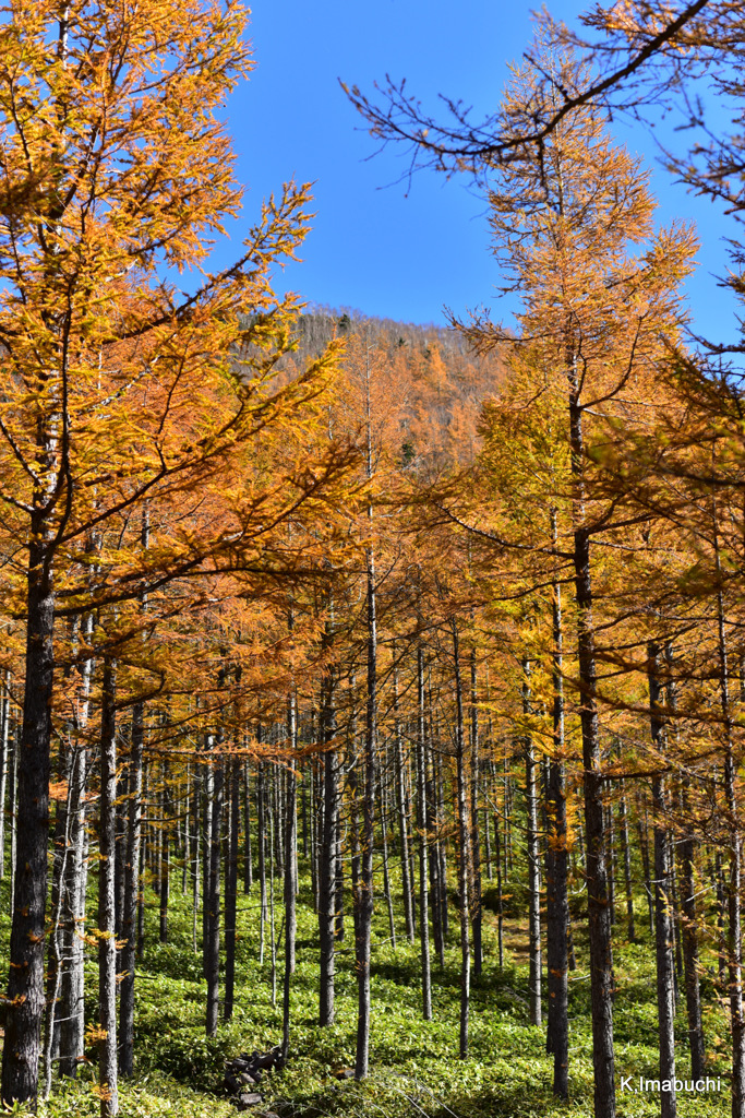 14-DSC_9896