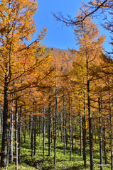 14-DSC_9896