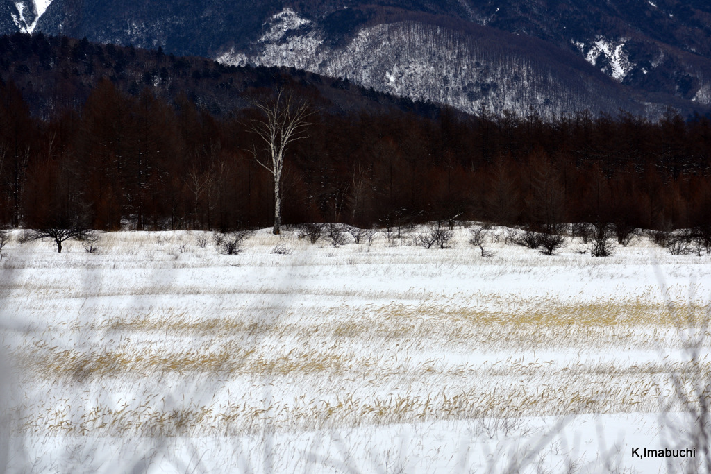 24-DSC_1170