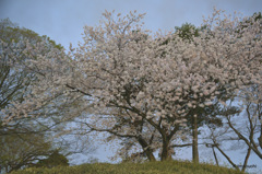 2-DSC_4975