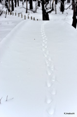 06-DSC_1101