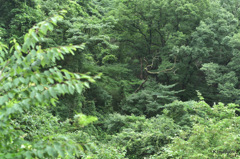 01-DSC_9874