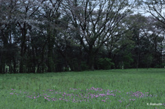 10-DSC_5073