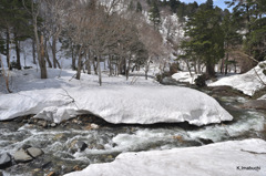 雪解けの季節