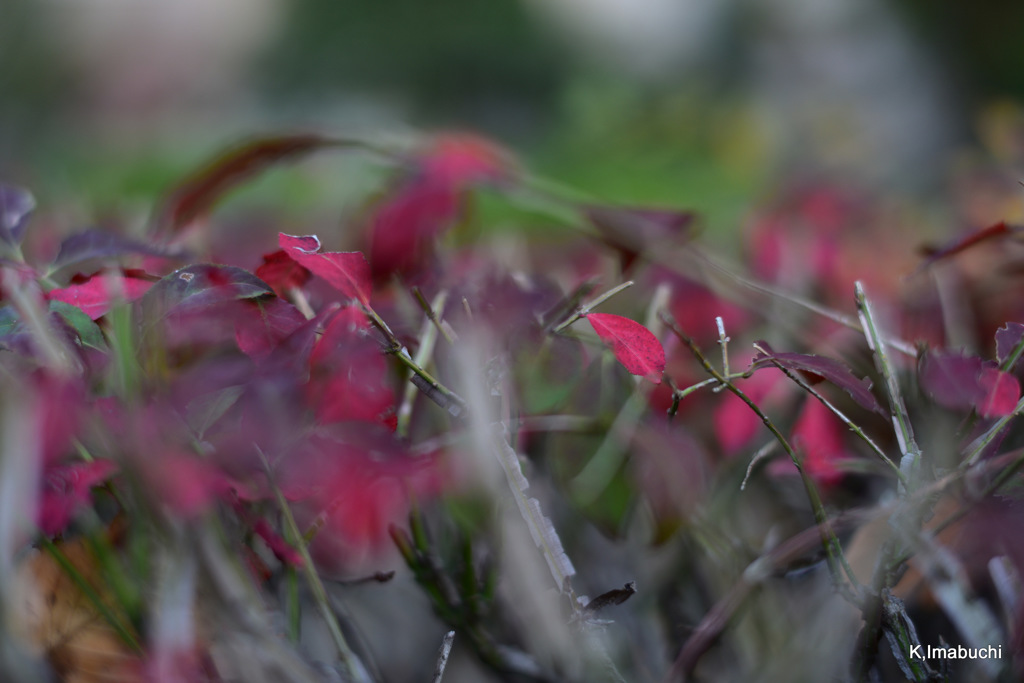 3-DSC_0836
