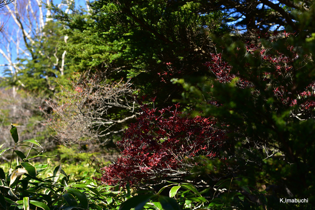22-DSC_9925