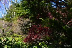 22-DSC_9925