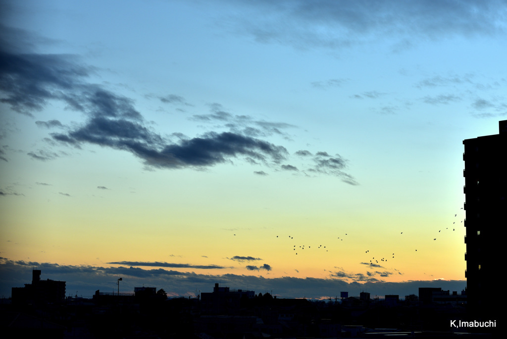 2-DSC_1057