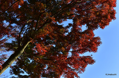 08-DSC_0889