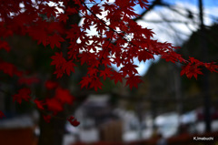 02-DSC_0771