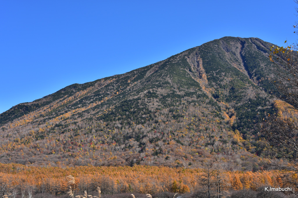 30-DSC_9955