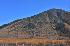 30-DSC_9955