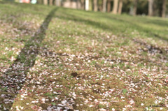07-DSC_5066