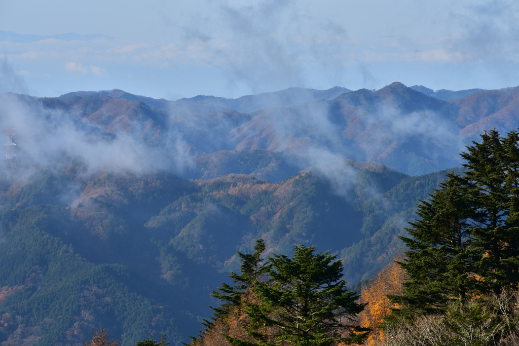 11-DSC_0713