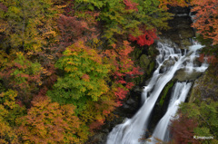 11-DSC_0263
