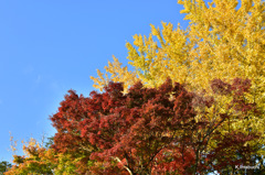 20-DSC_0934