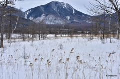 18-DSC_1152