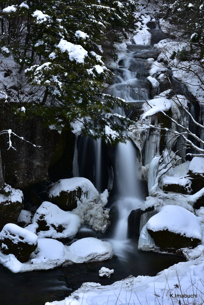 37-DSC_1207