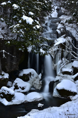 37-DSC_1207