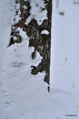 20-DSC_1164
