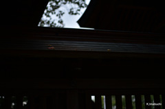 04-DSC_0054