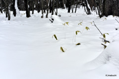 16-DSC_1145