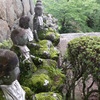 見守る