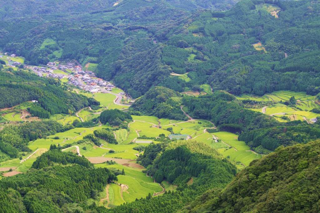 蕨野棚田