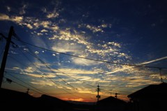 朝目覚めると