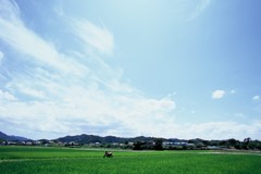 FH000015