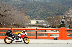 春の訪れはまだ遠し