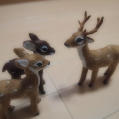 reindeers 