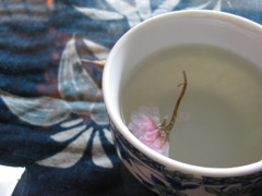 Sakura tea
