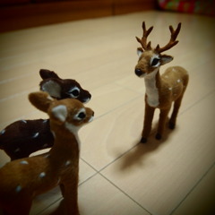 reindeers 