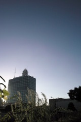 SDIM0513