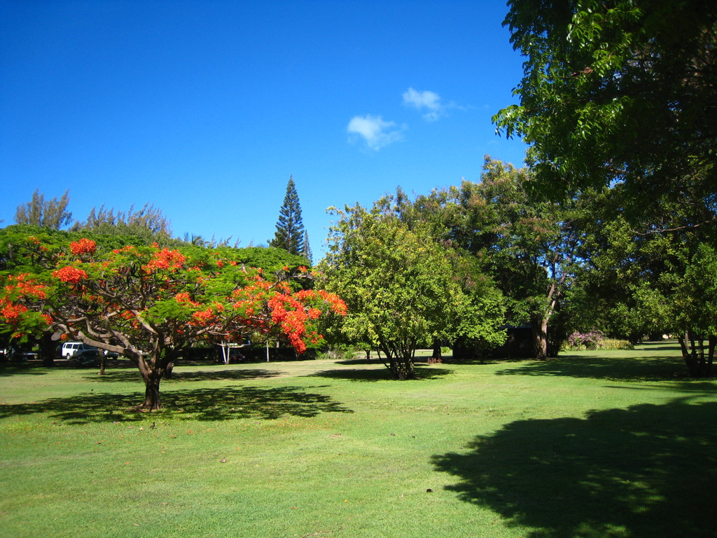 Waimea Plantation n2