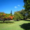 Waimea Plantation n2